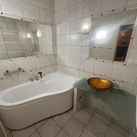 Zamek W Centrum Bielska-bialej ביילסקו-ביאלה